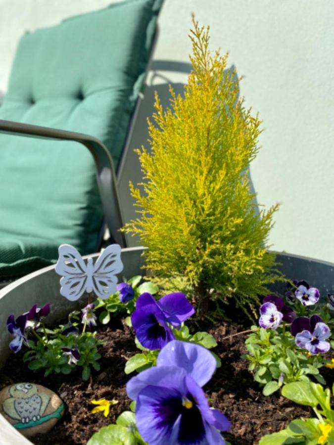 Apartmany U Rybnicka Pribraz Buitenkant foto